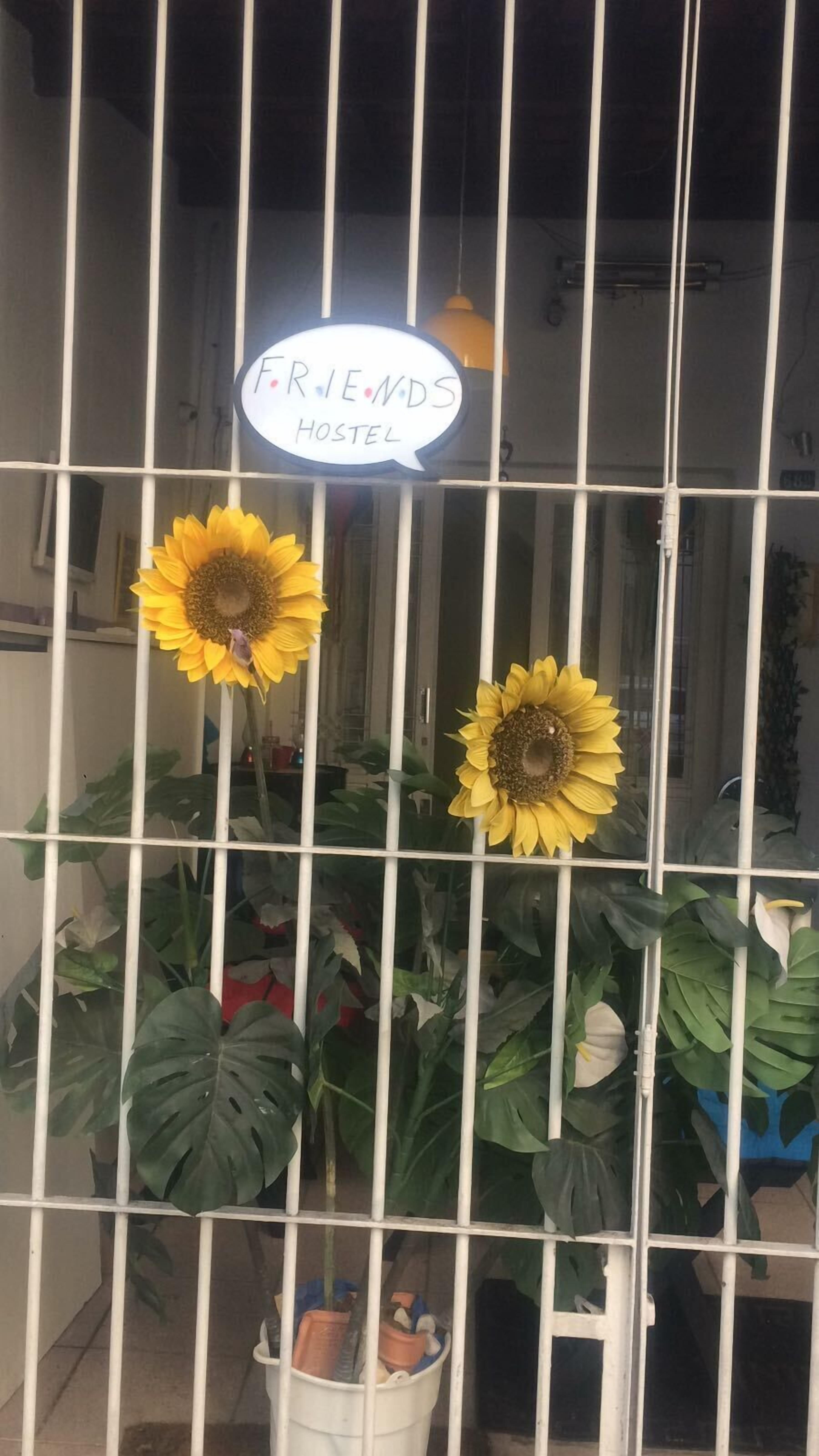 Friends Hostel Paulista , Sao Paulo — Photos 2